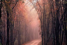 宝威体育：阿斯：在托雷斯的号召下，超1.5万球迷将观战马竞B队vs贝蒂斯B队.