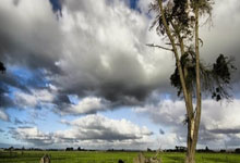 宝威体育：山东男篮豪取5连胜，高诗岩19+6带队逆转，剩余两场全胜可锁定前4.