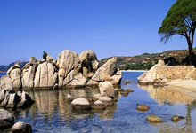 勒沃库森队长：输给德丙球队令人震惊，表现太糟糕&痛苦无法形容.